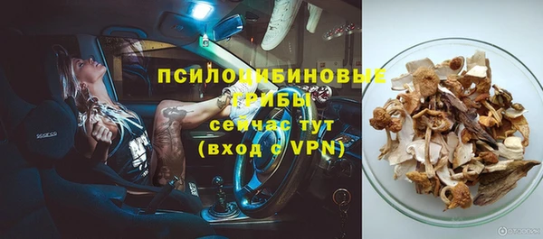 прущие крисы Киренск