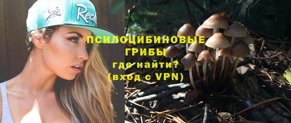 прущие крисы Киренск