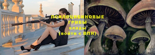 прущая мука Киреевск