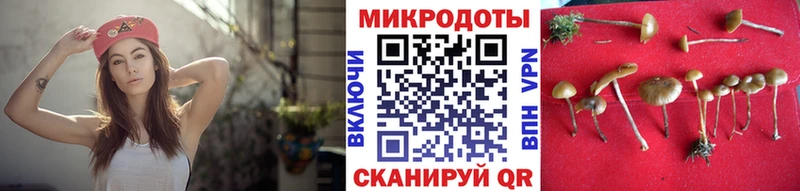 Галлюциногенные грибы Psilocybe  Купить закладки  Дмитров 